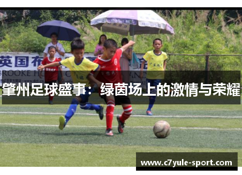 肇州足球盛事：绿茵场上的激情与荣耀