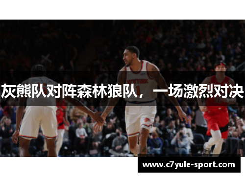 灰熊队对阵森林狼队，一场激烈对决